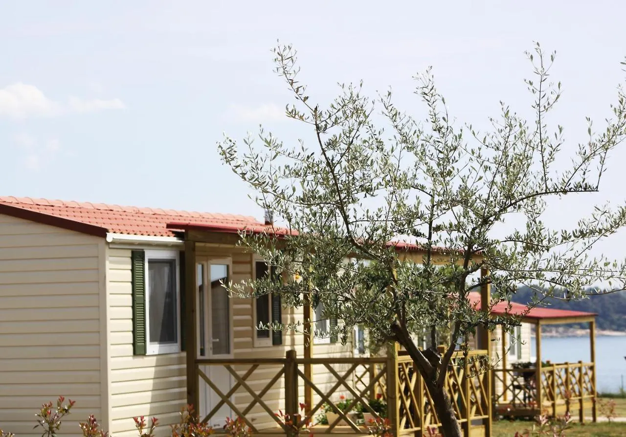 Aminess Sirena - Holiday Homes Classic Novigrad  Holiday park Novigrad (Istria)
